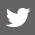 tw-icon sq